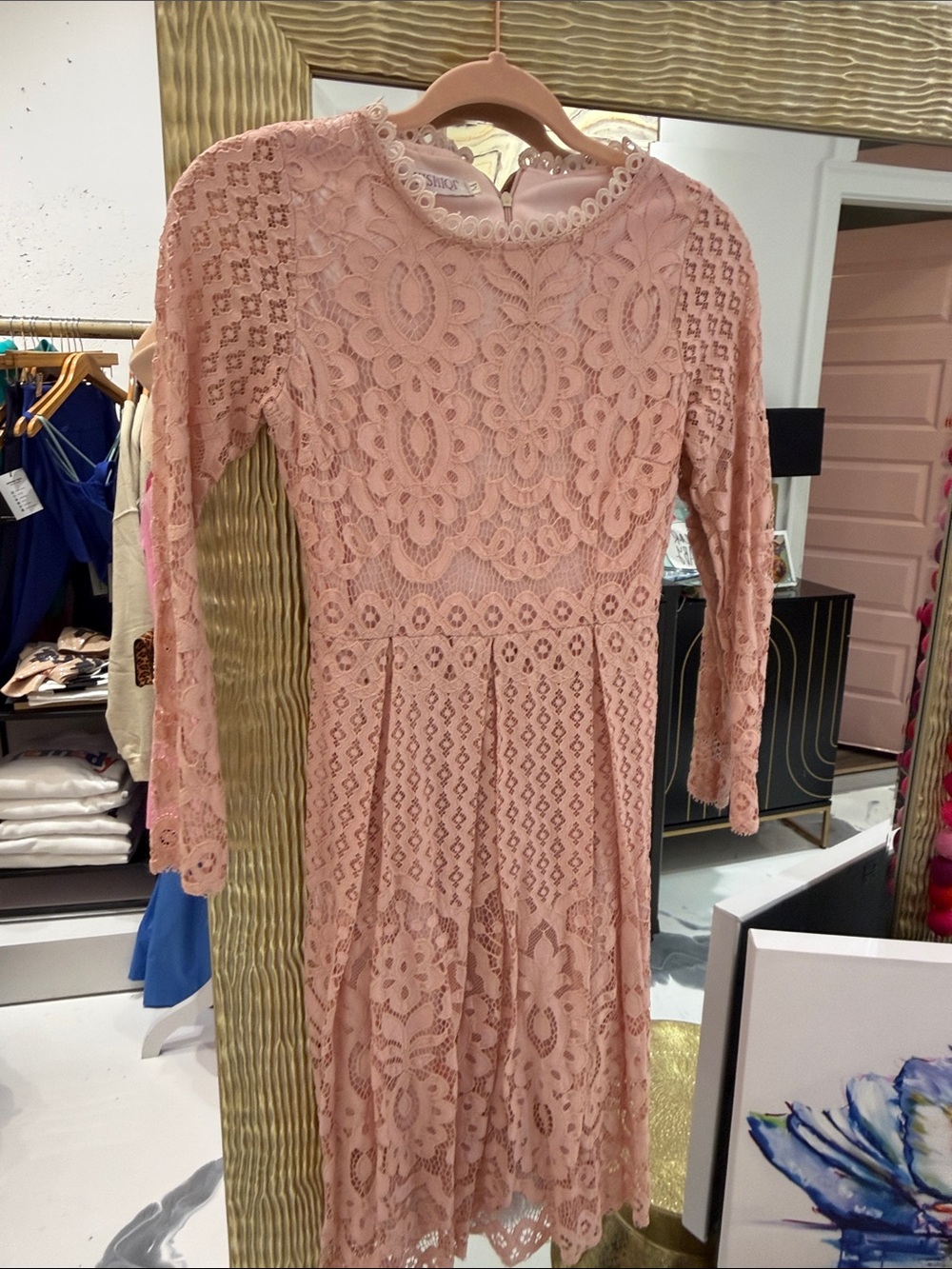 Women's Long-Sleeve Lace Dress in Blush Pink by